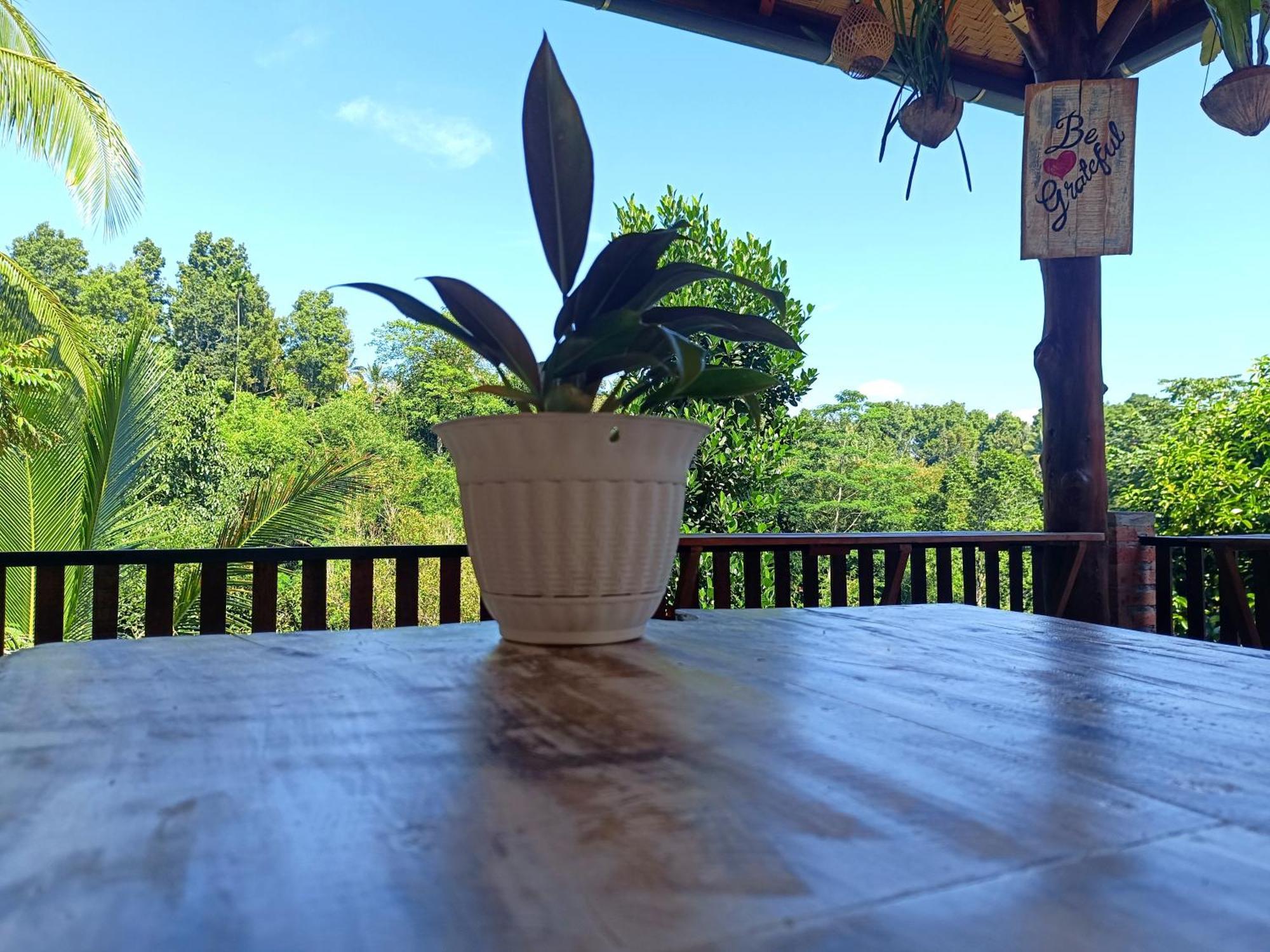 Hotel Artomoro Bali Munduk Exteriér fotografie