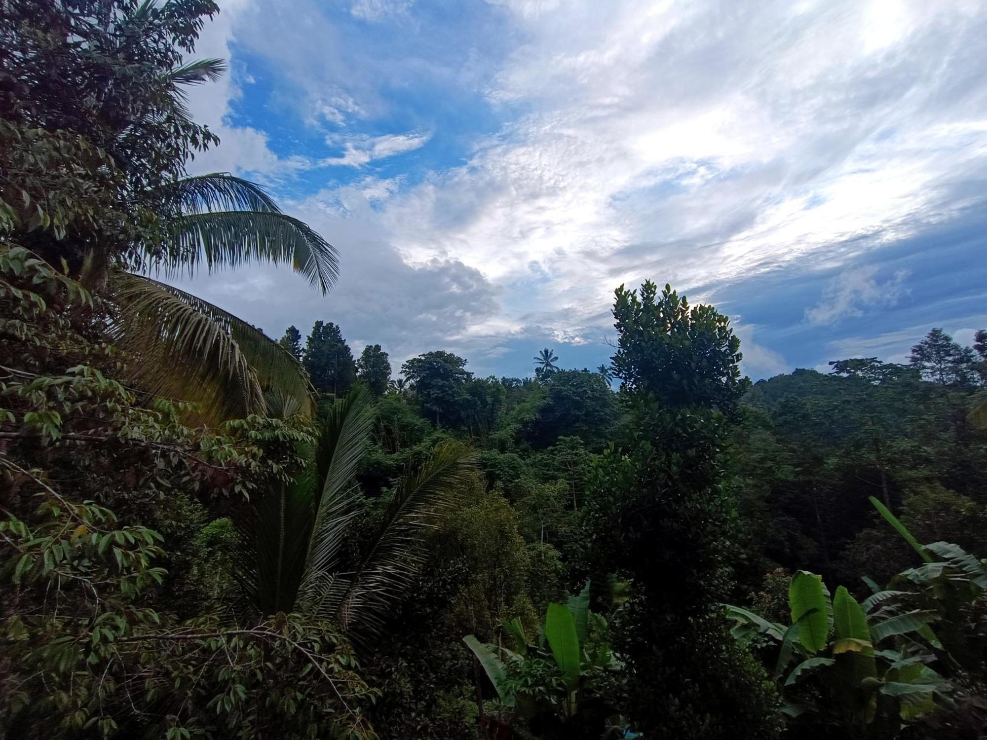 Hotel Artomoro Bali Munduk Exteriér fotografie